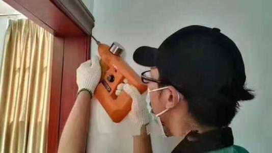 家庭白蟻滅治