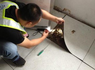 白蟻破壞地板